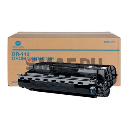 DR113 (4519601)
