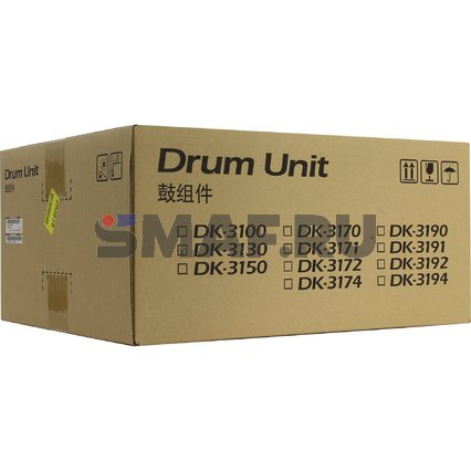 DK-3170 (302T993060)