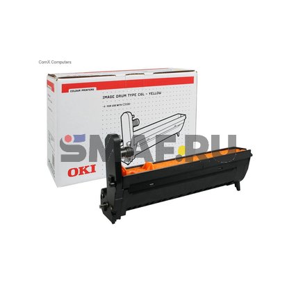 TYPE-C6L (42126641)